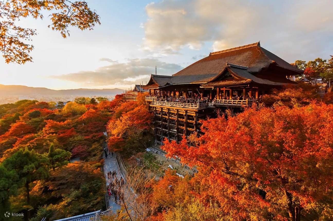 KyotoPrivateOneDayTourwithHotelPick upfromOsakaKyotoKobe