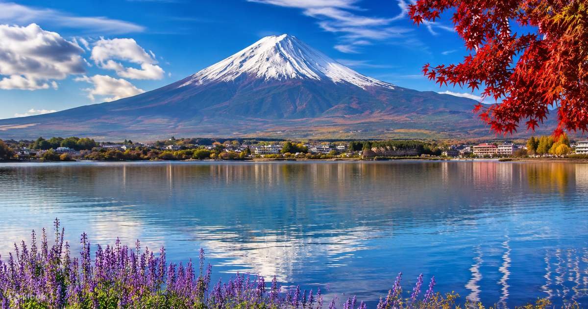 TokyoMountFujiLakeKawaguchiFull DayPrivateTour Klook